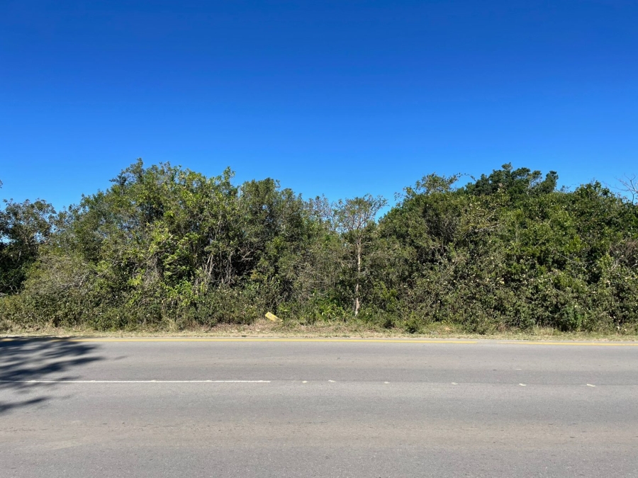 0 Bedroom Property for Sale in Bathurst Eastern Cape